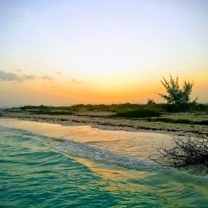 Meet your Posher, Latonya